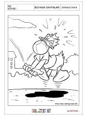 Donald Duck boyama sayfaları